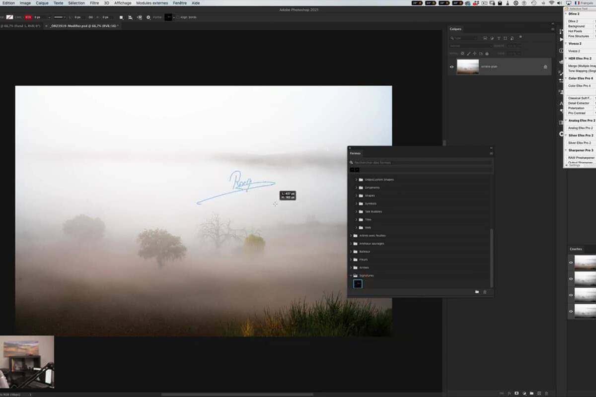 photo avec signature vectorielle intégrée