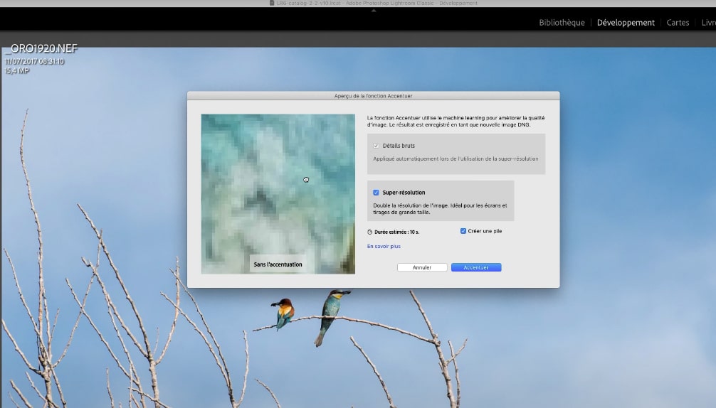 fenêtre pour la super-résolution dans Lightroom