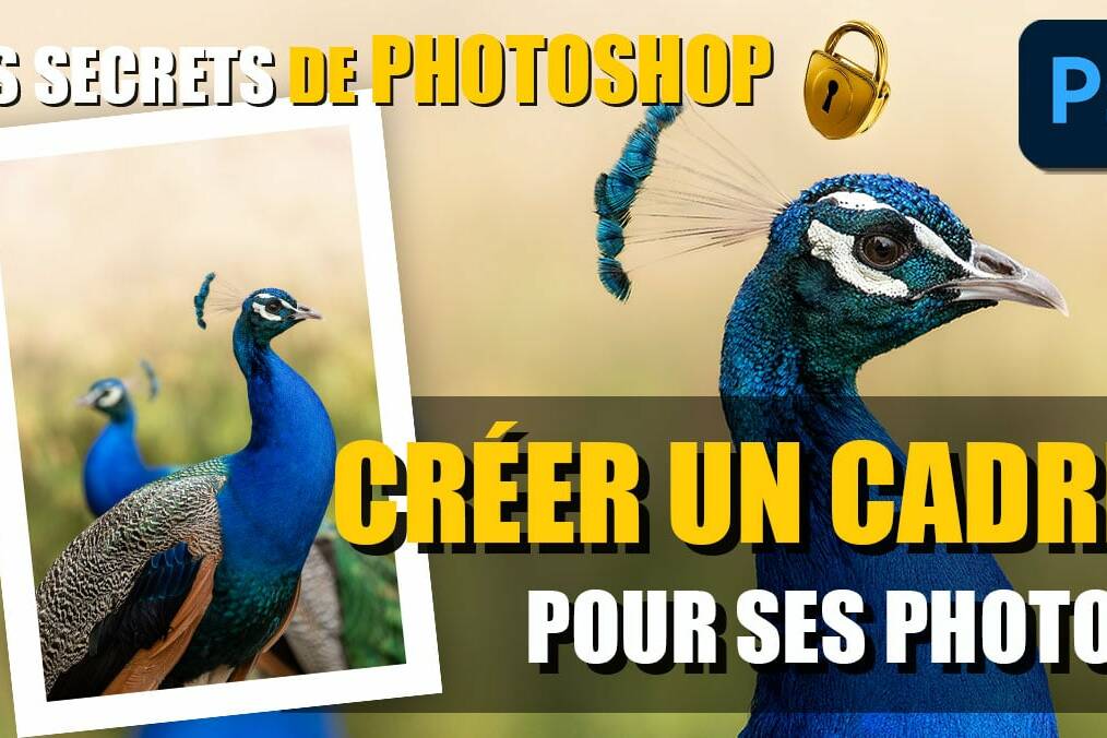 couverture article comment créer un cadre pour ses photos avec Photoshop