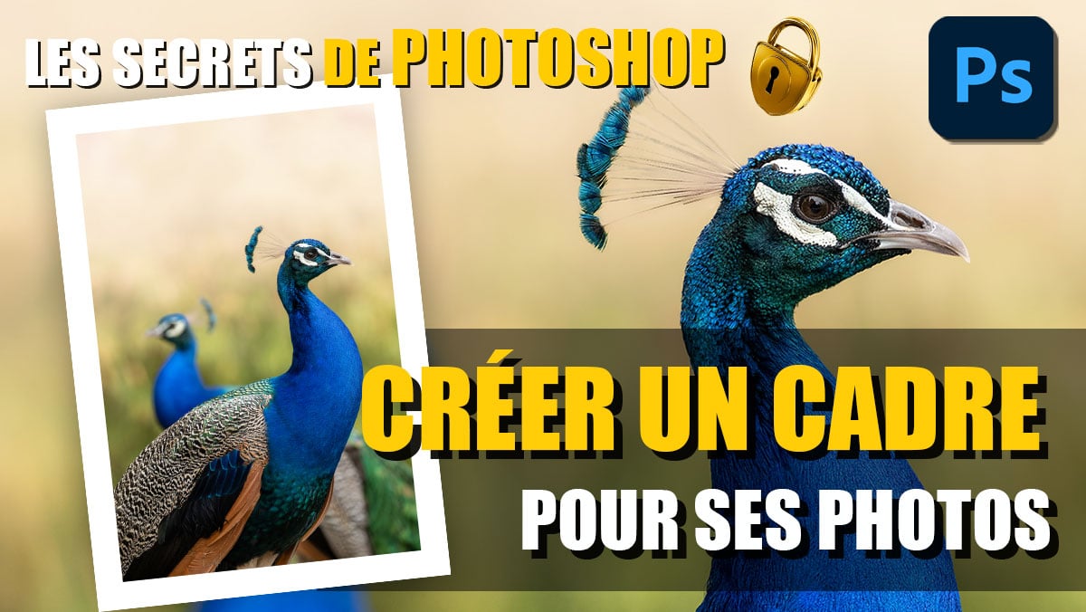 couverture article comment créer un cadre pour ses photos avec Photoshop