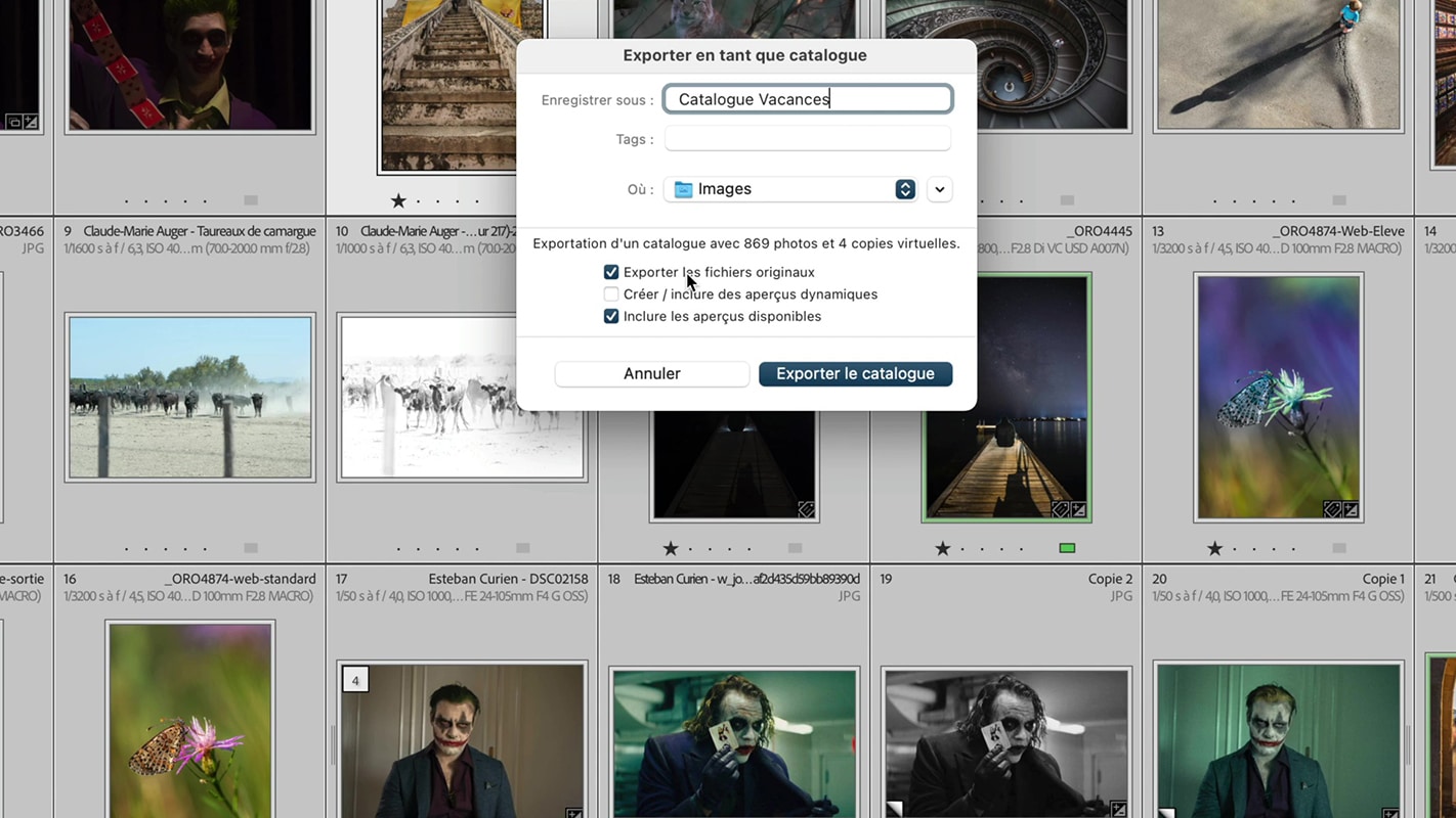 Boite de dialogue pour exporter tout le catalogue Lightroom