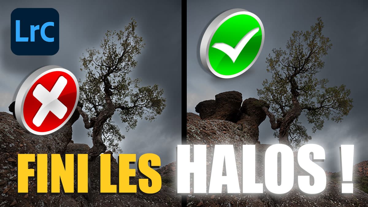 couverture de l'article 2 méthodes inédites pour supprimer enfin les halos dans Lightroom