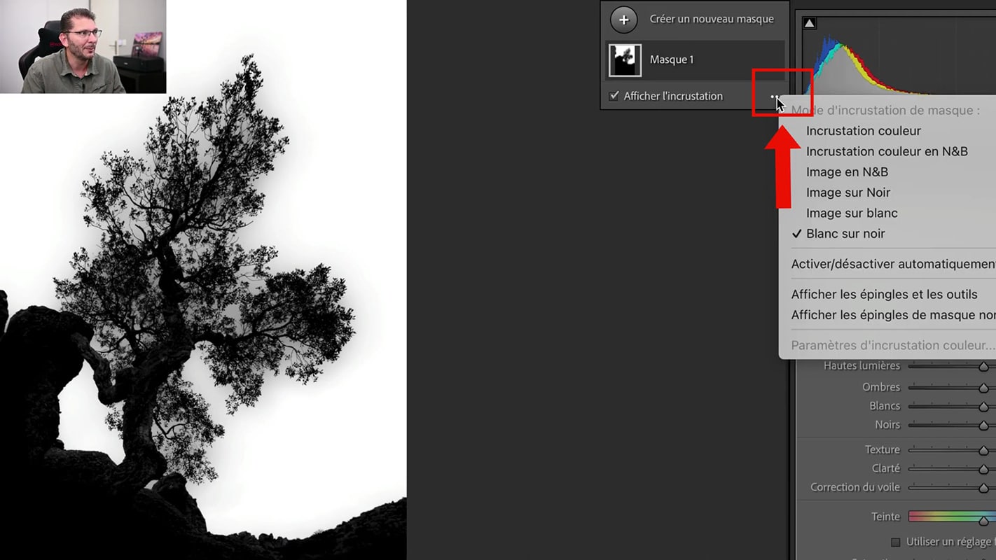 Affichage des masques en noir et blanc dans Lightroom