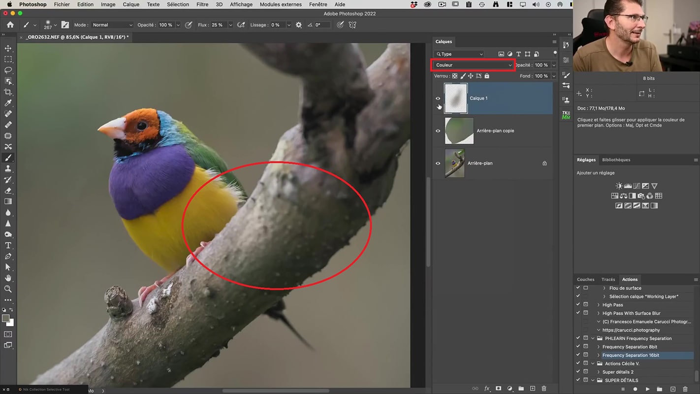 Résultat du mode de fusion Couleur sur la texture dans Photoshop