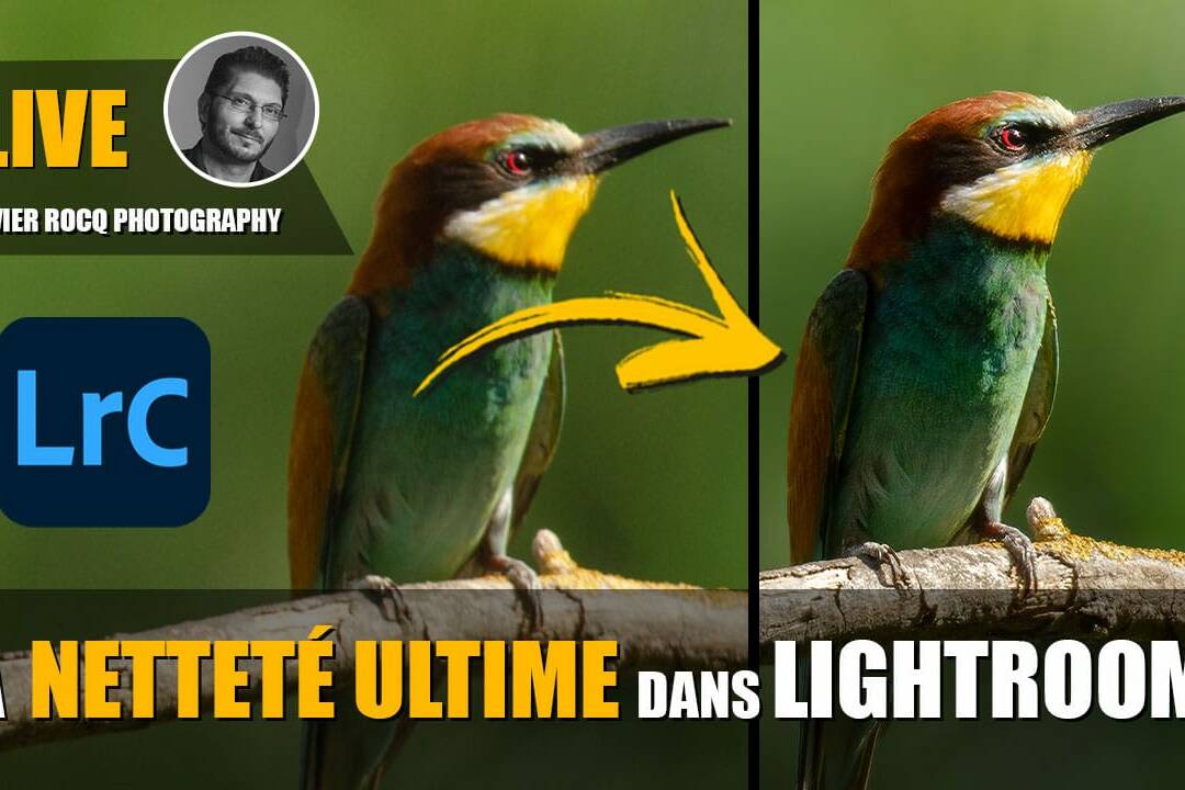 live-lightroom-nettete