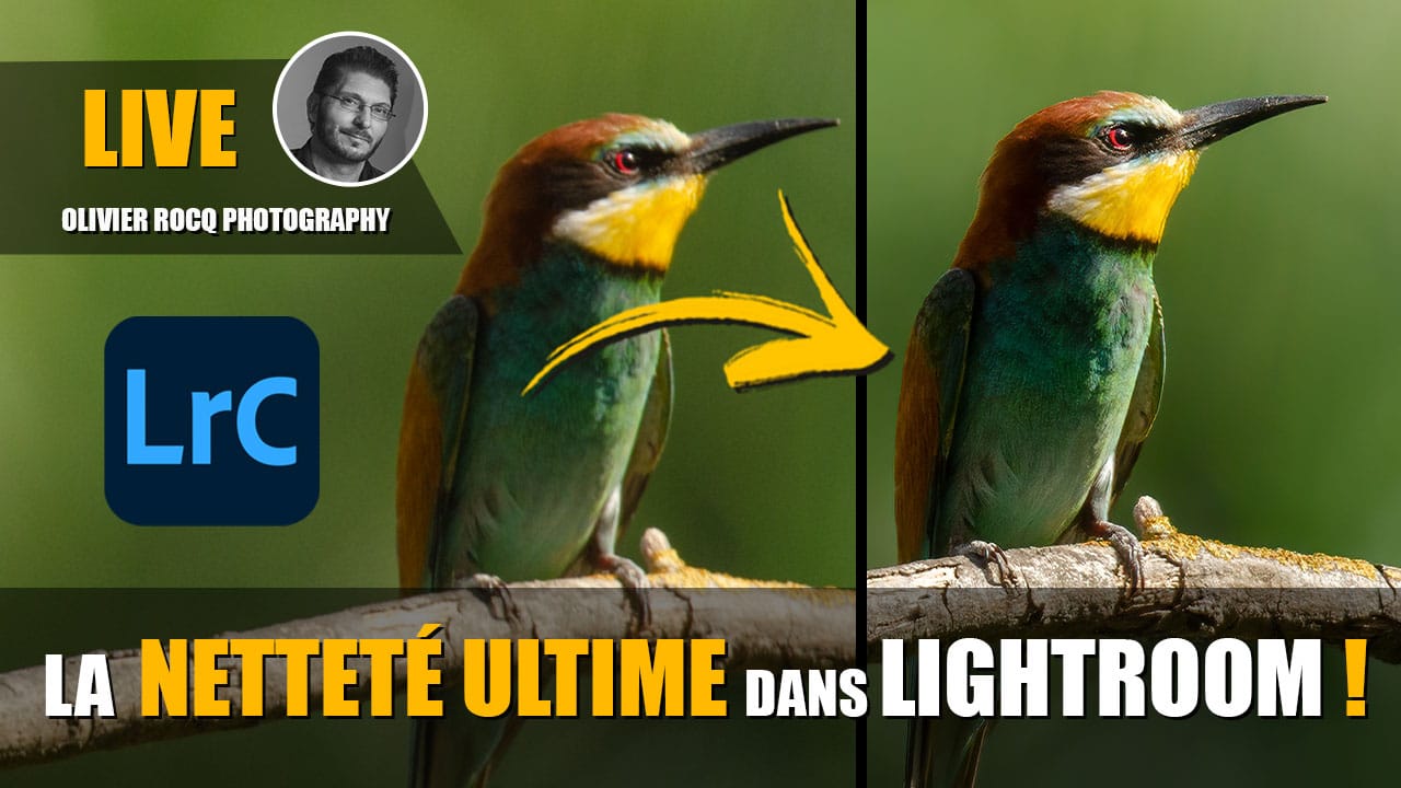 live-lightroom-nettete