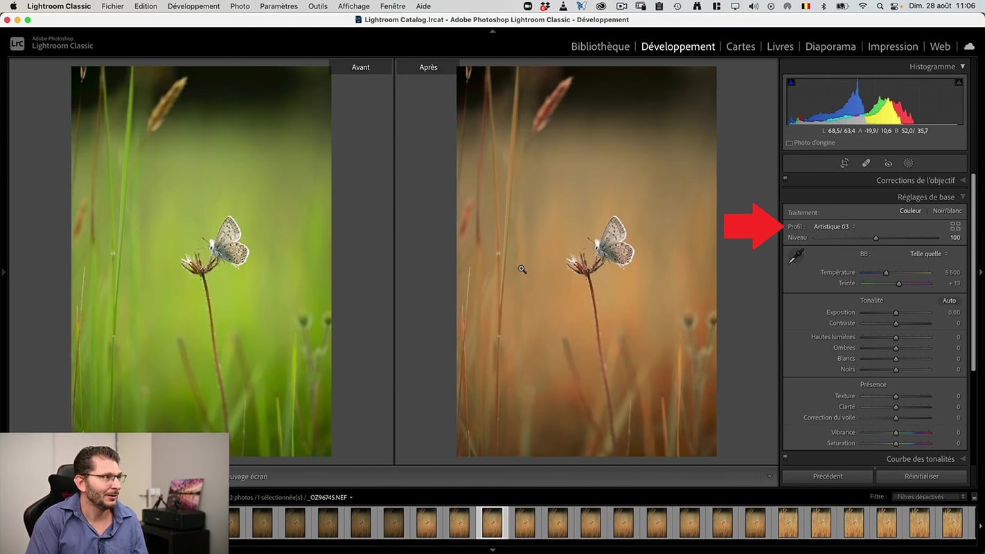 Application d'un profil artistique à l'image d'un papillon avec l'avant-après illustrés dans Lightroom.