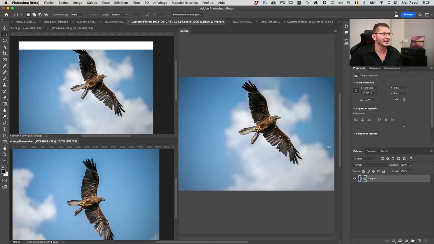 Deuxième exemple de remplissage de contenu multi-images dans la version Beta de Photoshop avec une photo de rapace.