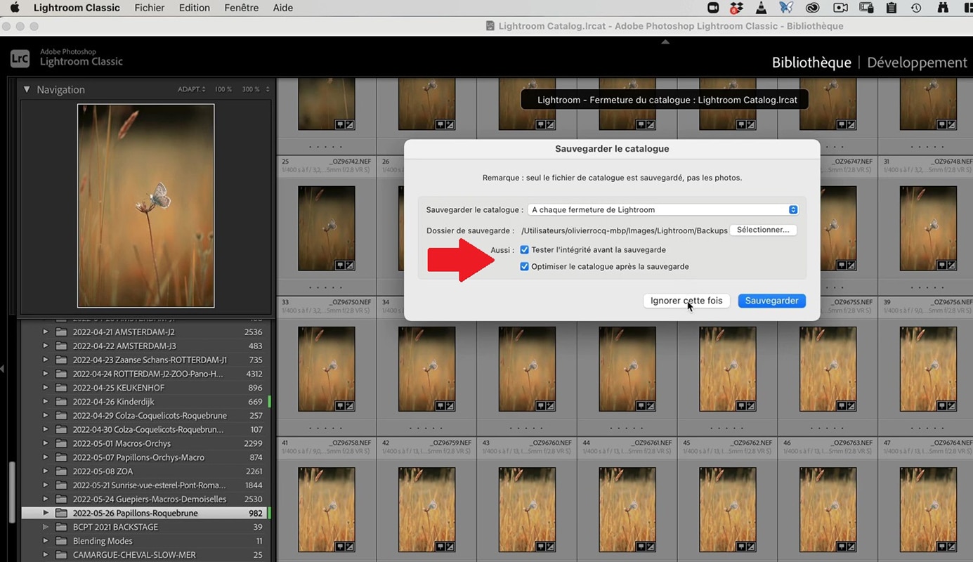 Fenêtre de sauvegarde du catalogue dans Lightroom.
