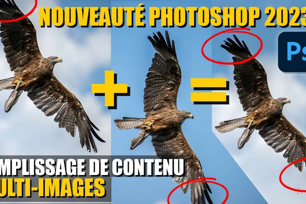 couverture de l'article Qu'est-ce que le REMPLISSAGE de CONTENU MULTI-IMAGES ?