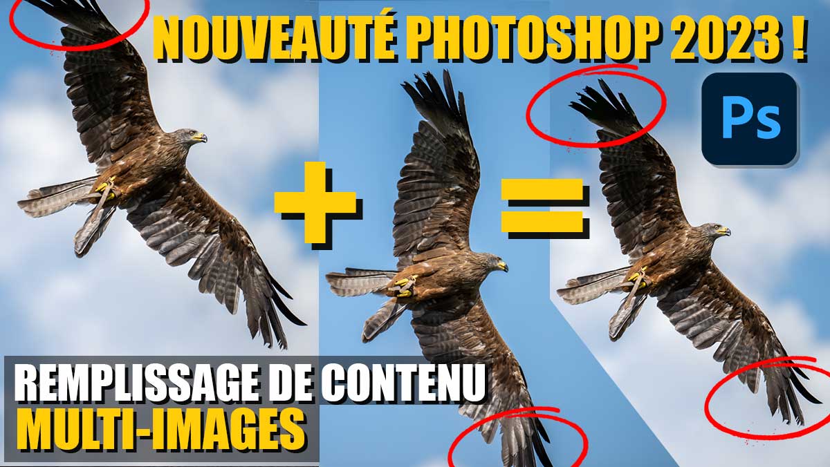 couverture de l'article Qu'est-ce que le REMPLISSAGE de CONTENU MULTI-IMAGES ?