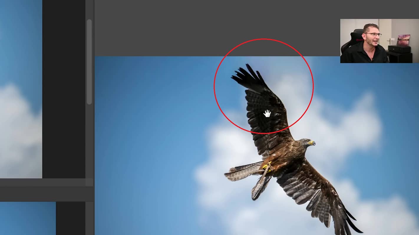 Résultat du remplissage de contenu multi-images pour l'image du rapace dans Photoshop.