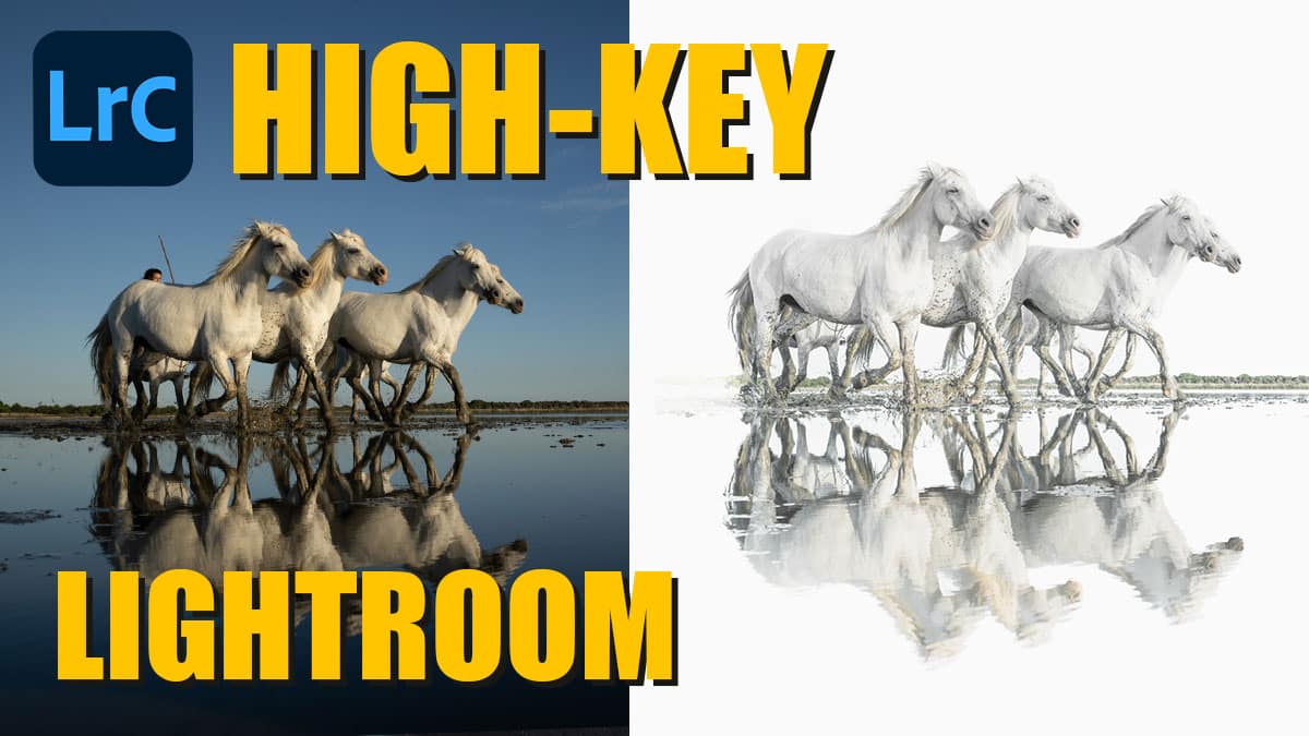 Couverture de l'article Comment créer une photo HIGH-KEY dans LIGHTROOM 2023