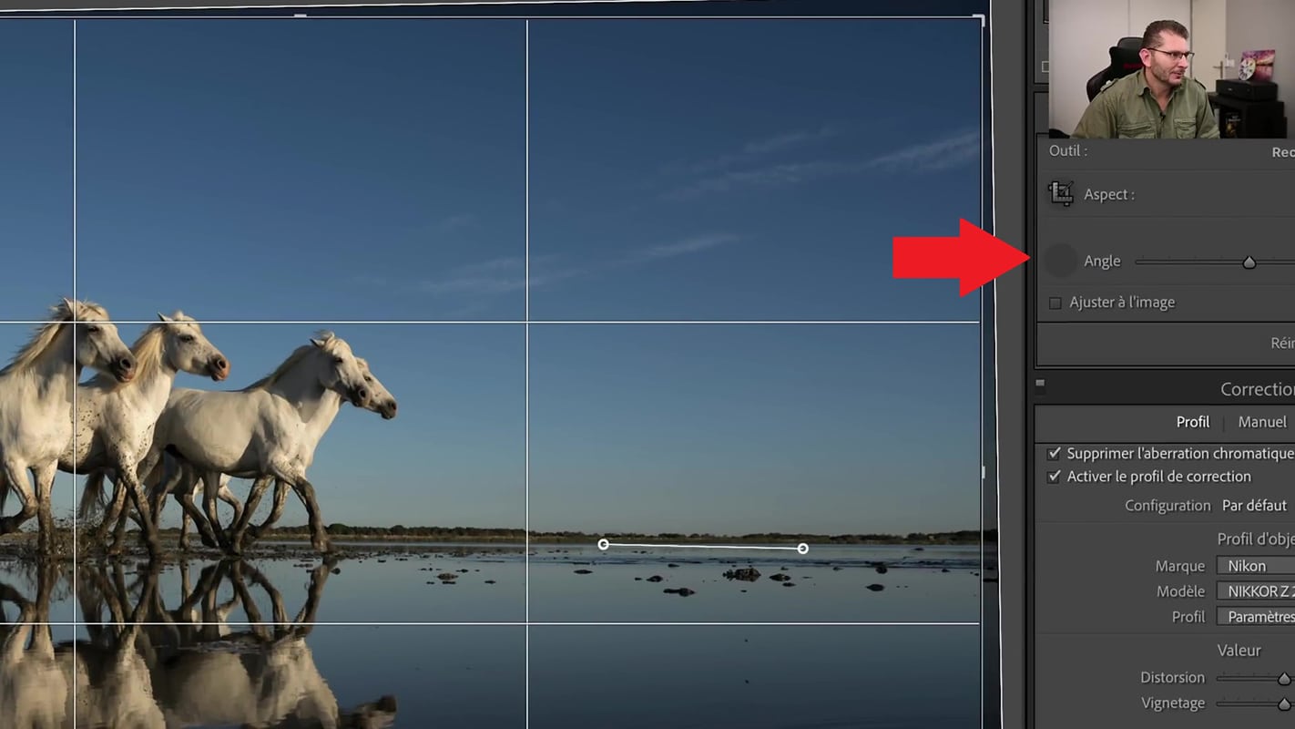 Outil niveau pour redresser l'horizon dans la photo des chevaux en Camargue.