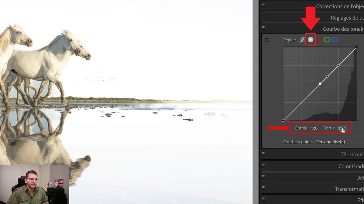 Points d'entrée et de sortie de la courbe des tonalités dans Lightroom.