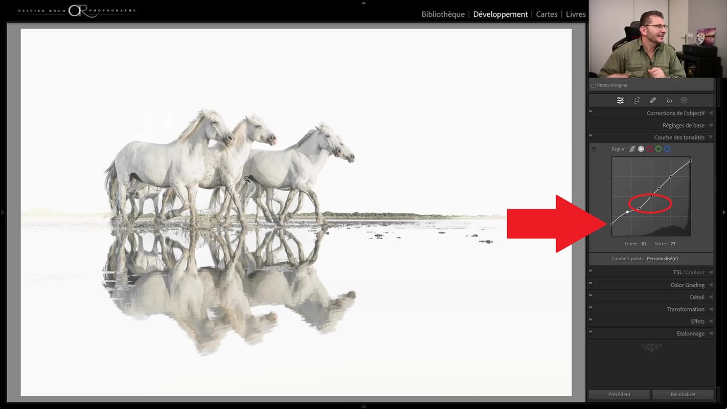 Relève du point noir dans la courbe des tonalités pour clôturer le traitement de la photo high-key dans Lightroom 2023. l