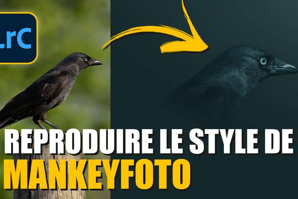 Couverture article Reproduire le style de mankeyfoto avec LIGHTROOM 2023