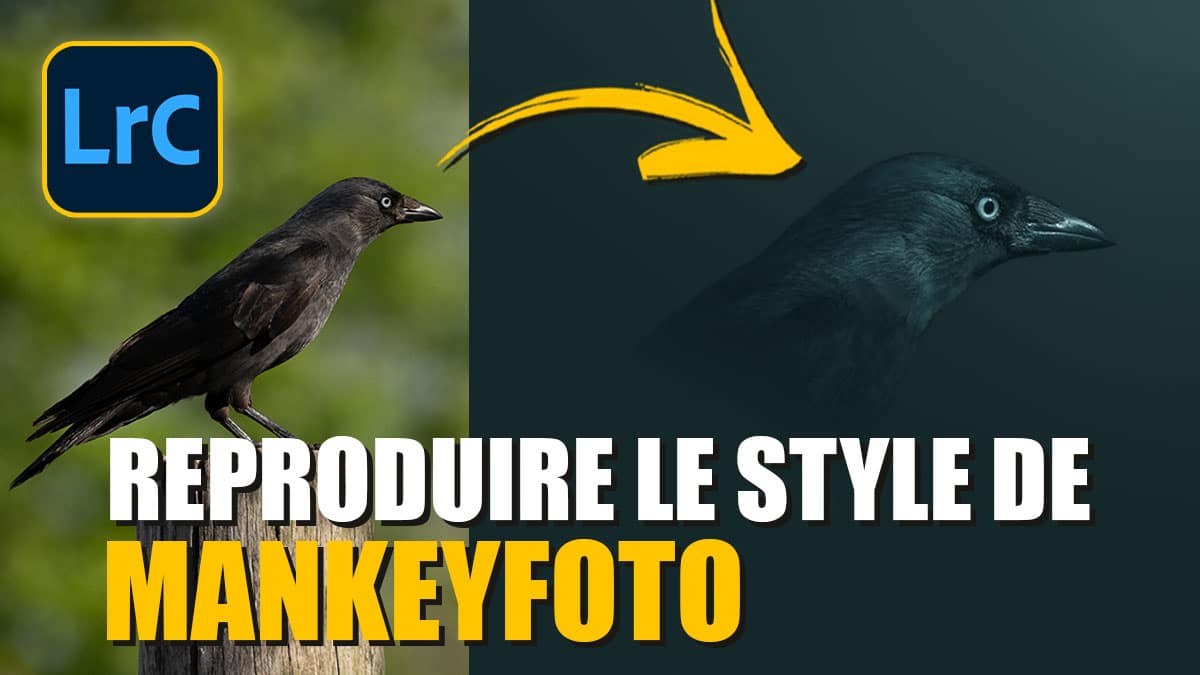 Couverture article Reproduire le style de mankeyfoto avec LIGHTROOM 2023