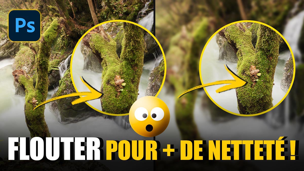 Couverture article Flouter pour augmenter la NETTETÉ dans Photoshop