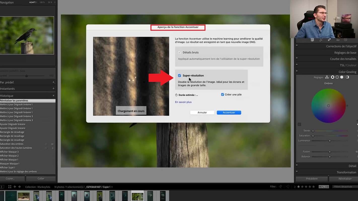 La case à cocher pour la super-résolution dans Lightroom 2023.