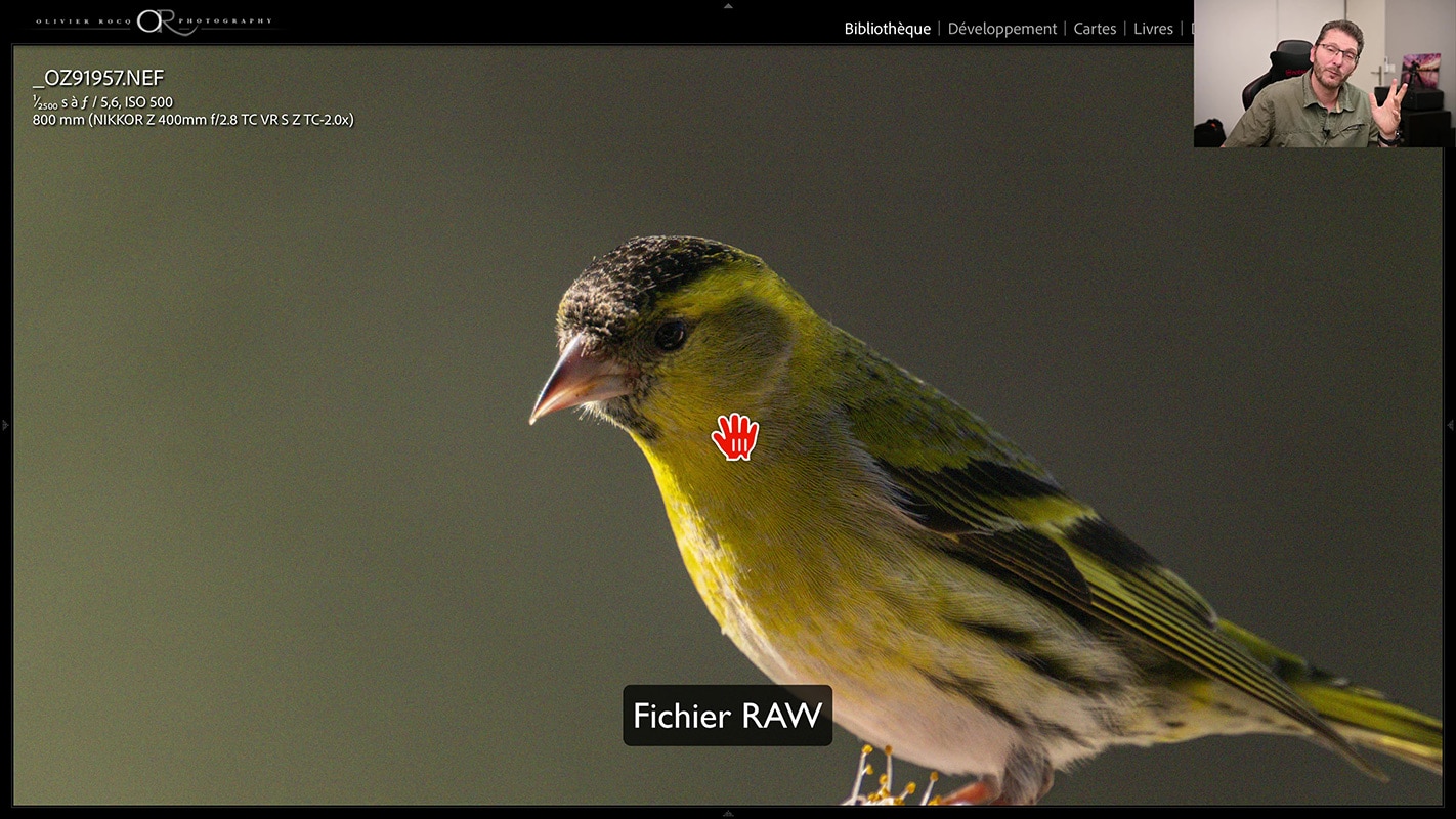 Fichier Raw original 500 ISO d'un oiseau pour tester efficacité DXO Pure Raw 3.