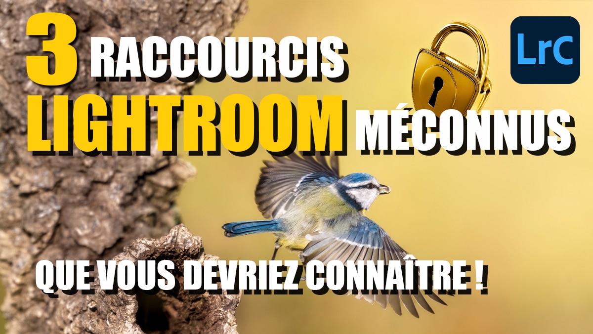 Couverture article 3 raccourcis clavier utiles dans Lightroom.