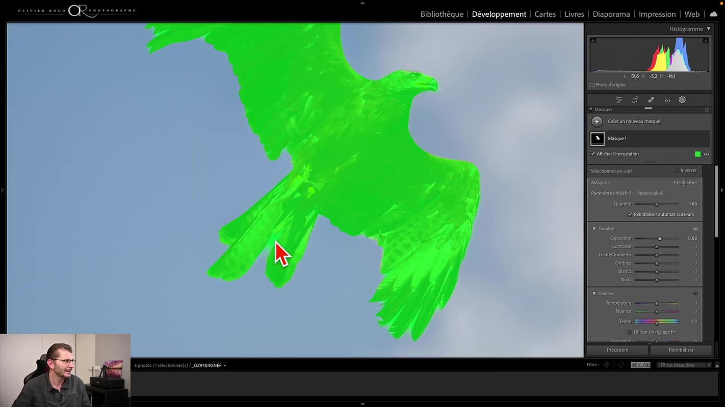 Manque de précision du masque de sujet pour la photo de l'aigle dans Lightroom 2023.