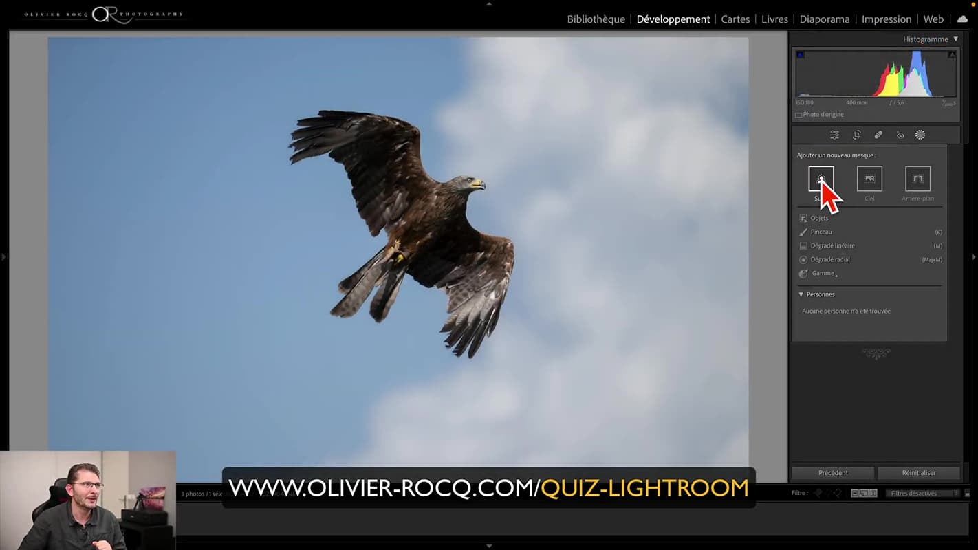 Bouton de masque du sujet dans Lightroom 2023 pour une photo d'aigle.