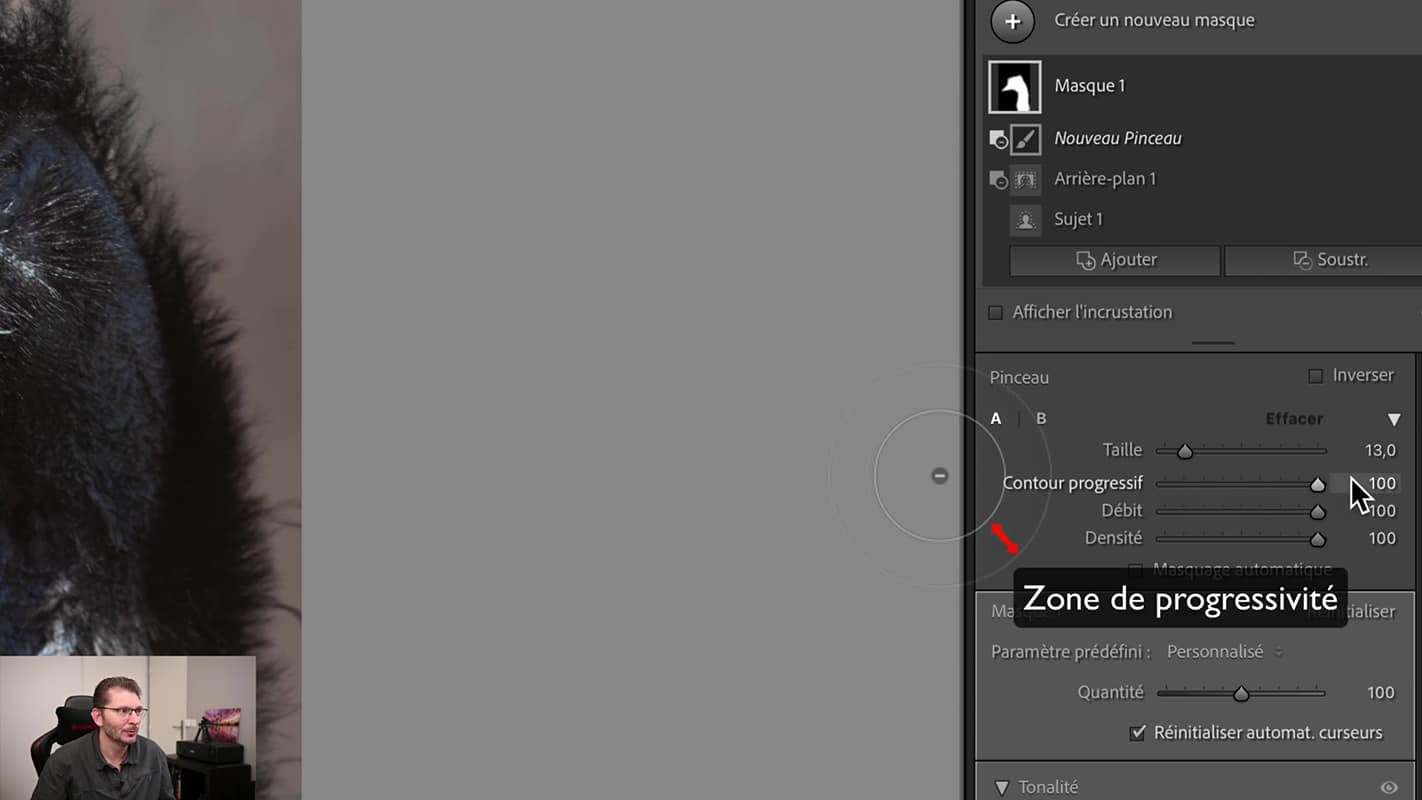 Zone de progressivité du pinceau dans Lightroom.