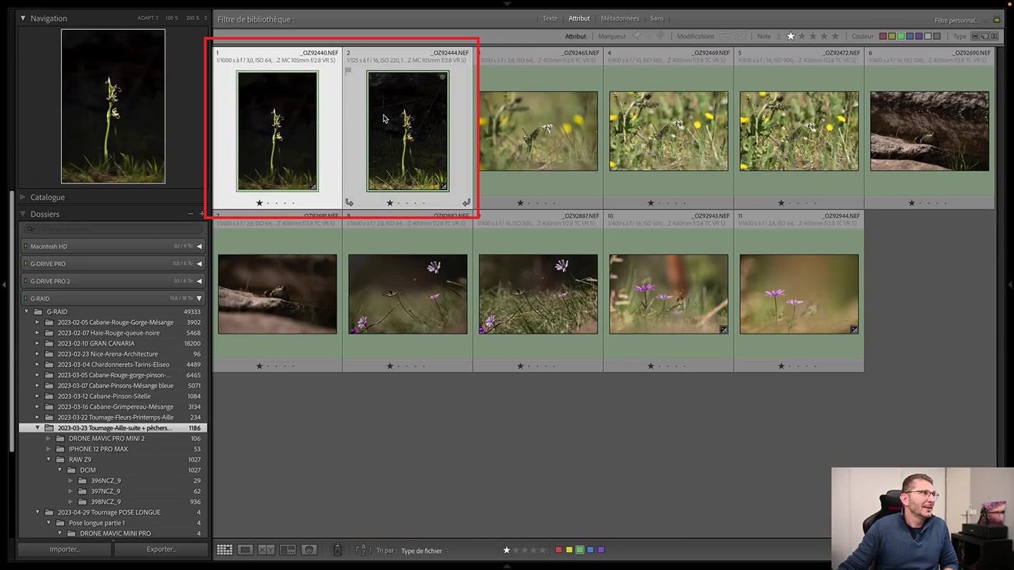 Deux photos pour l'assemblage du faux focus stacking dans Photoshop.