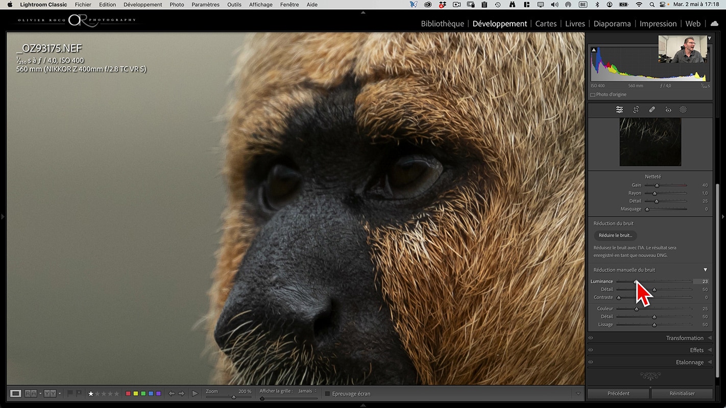 Curseur Luminance pour la réduction du bruit manuelle dans Lightroom de la photo à 400 ISO.