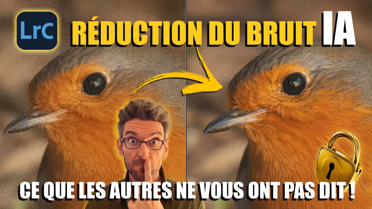 Couverture article La réduction du bruit avec l’IA dans Lightroom 2023 - Partie 1