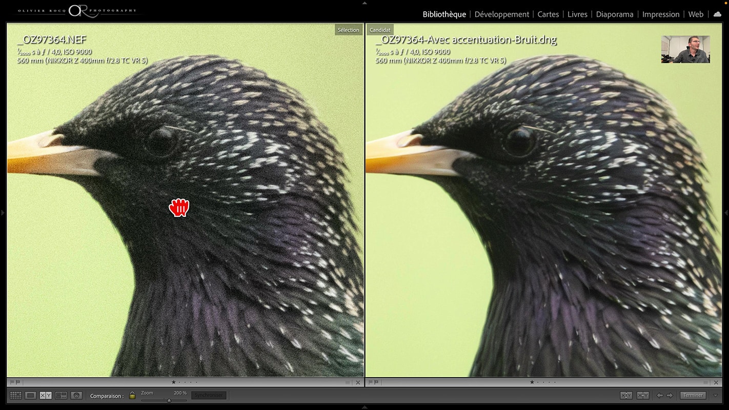 Résultat de la comparaison à 200% de zoom pour la réduction du bruit avec IA dans Lightroom 2023.