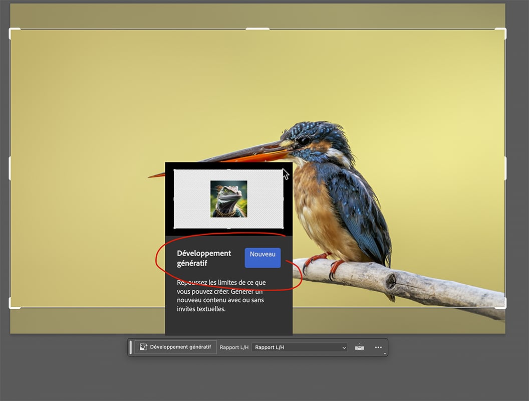 Remplissage de contenu vide par IA grâce au développement génératif de Photoshop beta version 25.