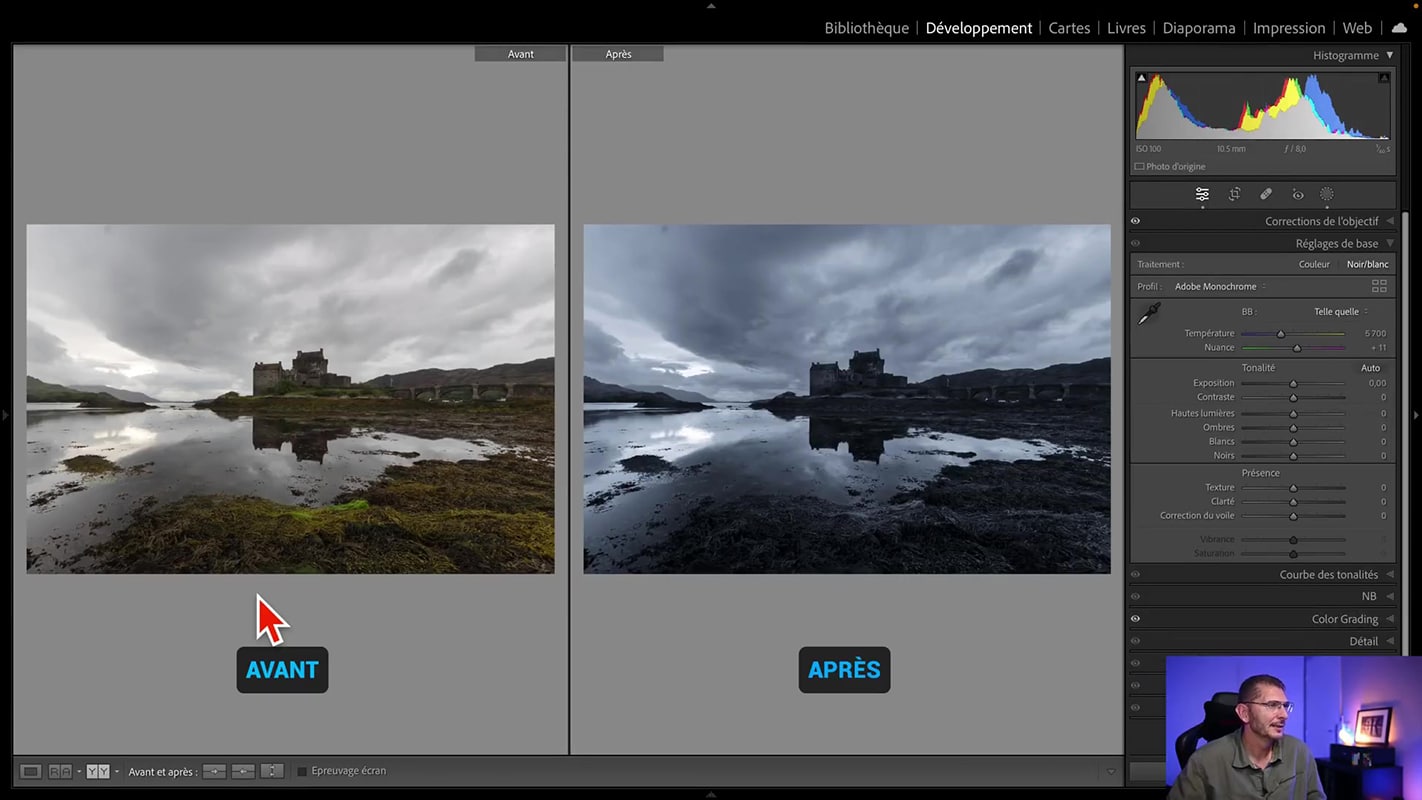 Avant/après l'application du paramètre prédéfini de monochrome dans Lightroom.