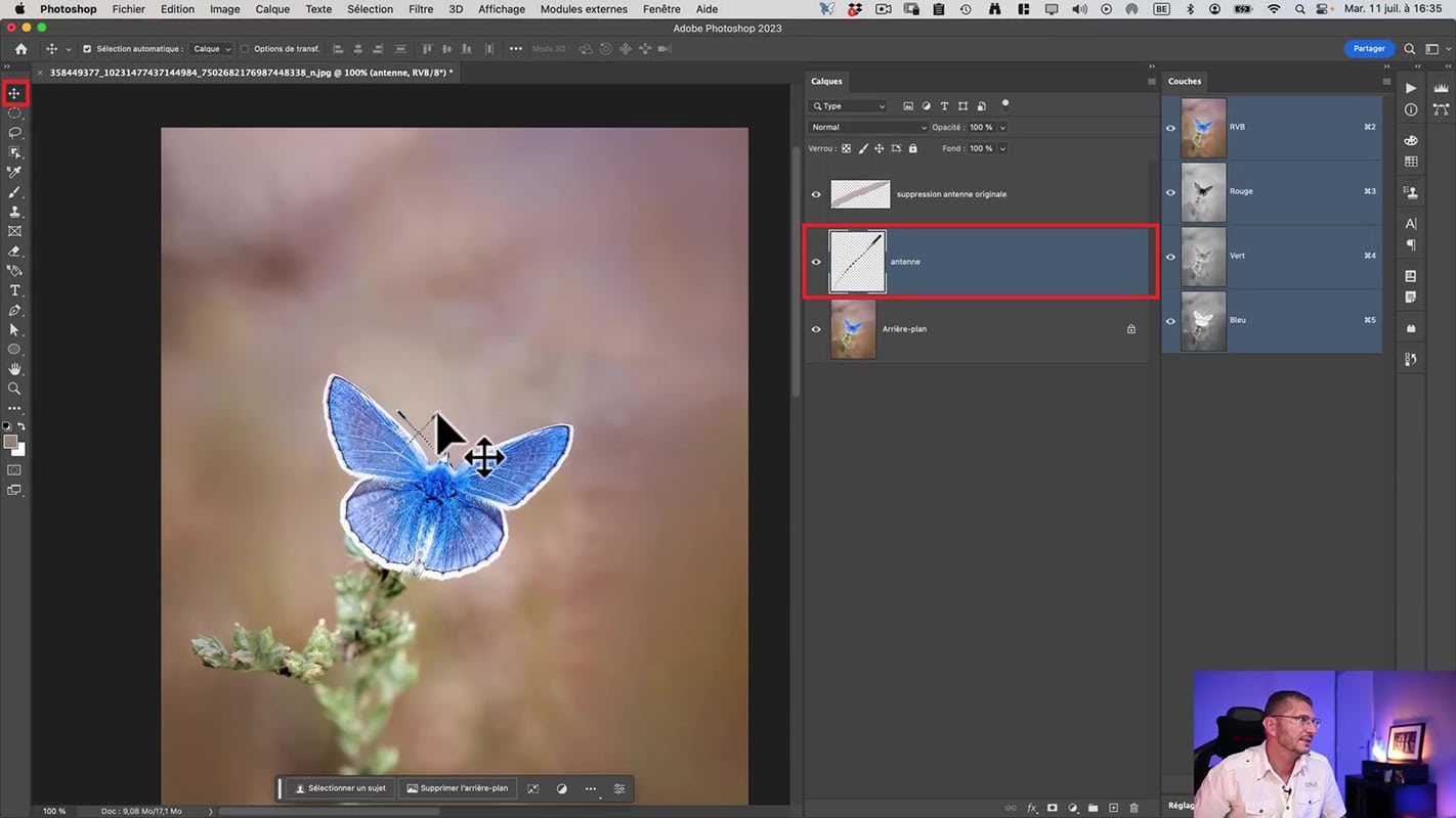 L'outil Déplacement pour le calque en miroir afin de reconstituer une antenne de papillon dans Photoshop.