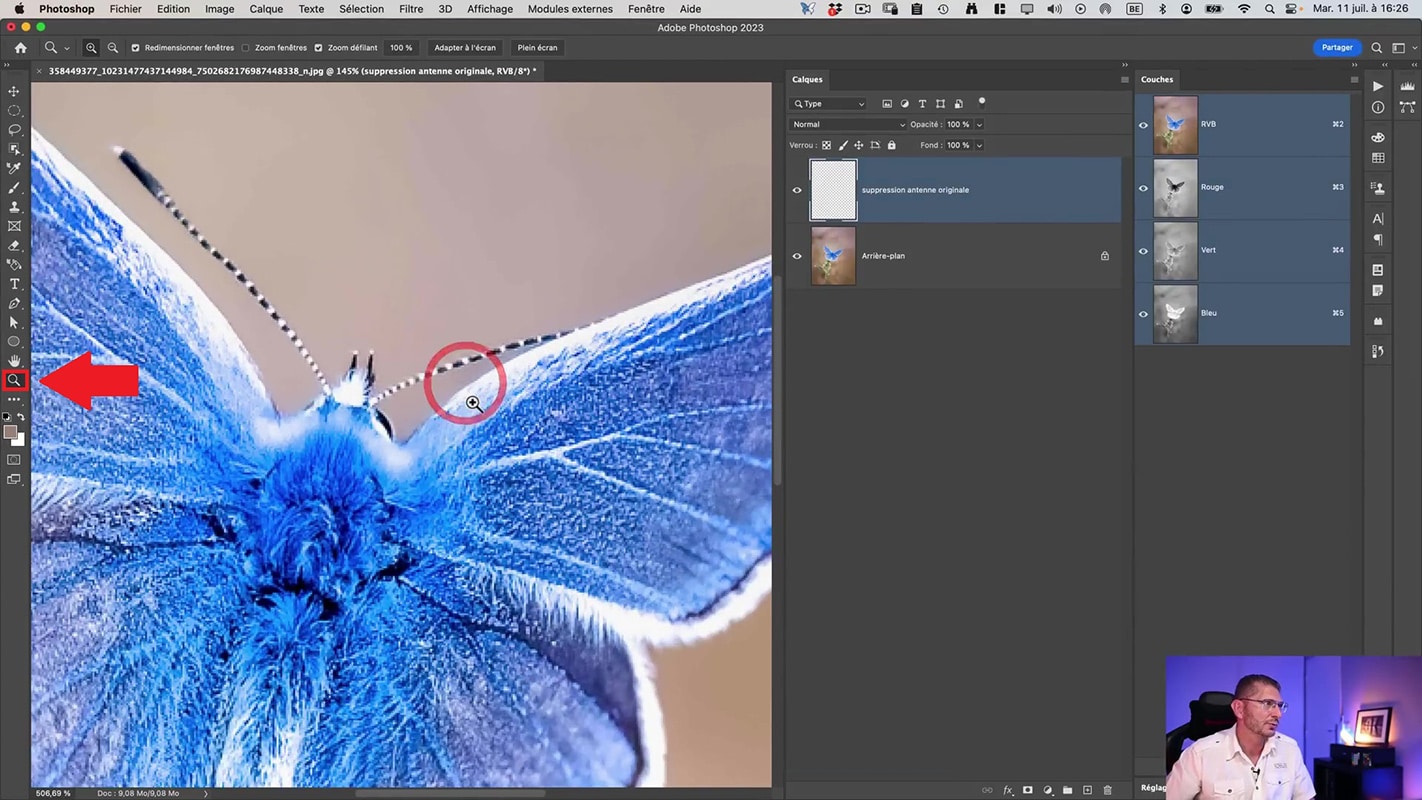 Emplacement de l'outil Loupe pour reconstituer une antenne de papillon dans Photoshop.