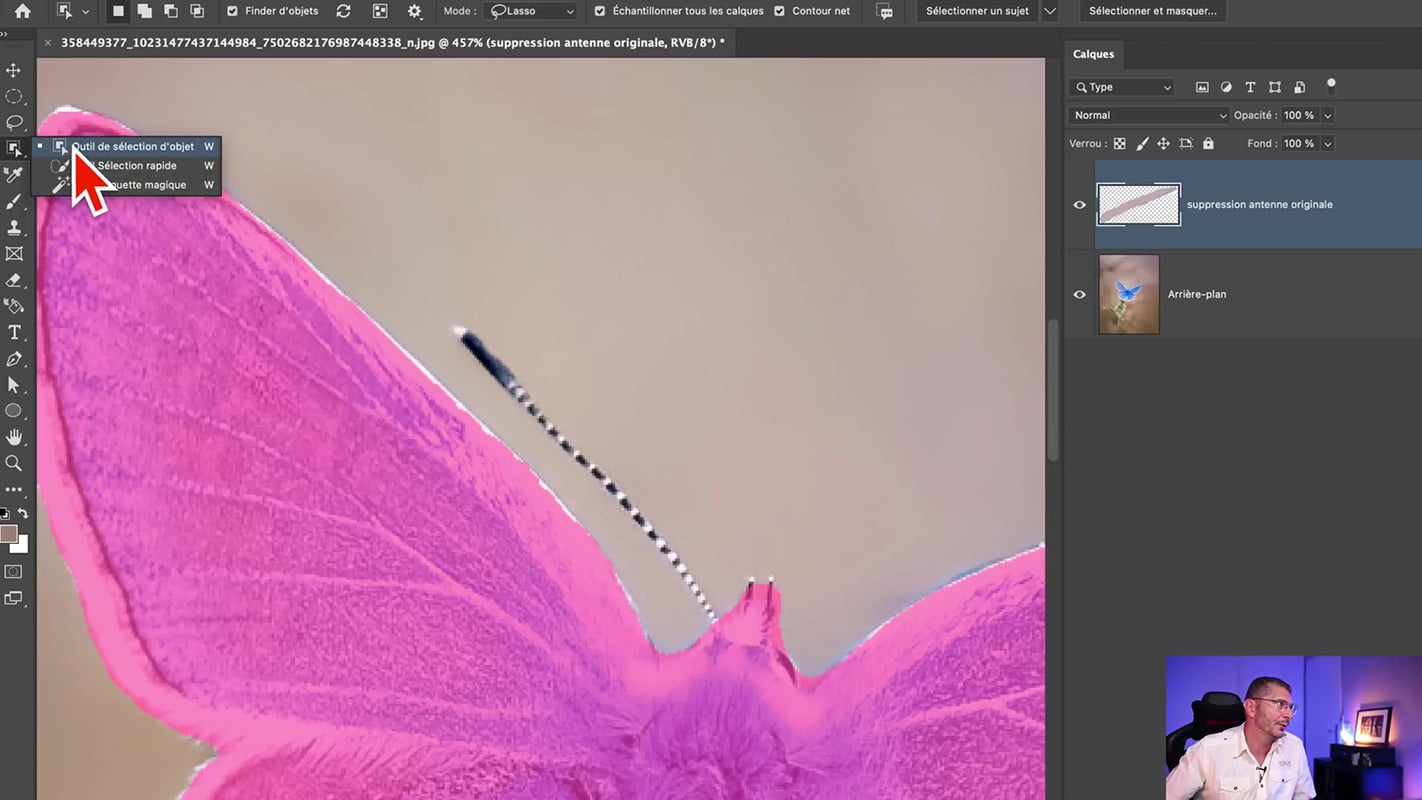 L'outil de sélection d'objets pour reconstituer une antenne de papillon dans Photoshop.