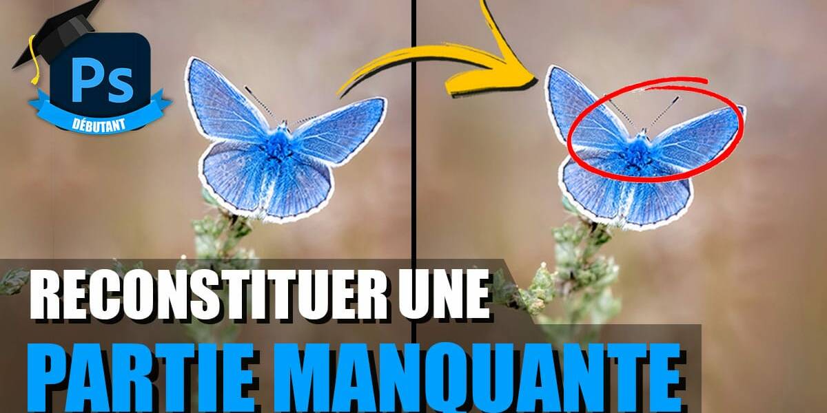 Couverture article Apprenez à reconstituer une partie manquante avec Photoshop.