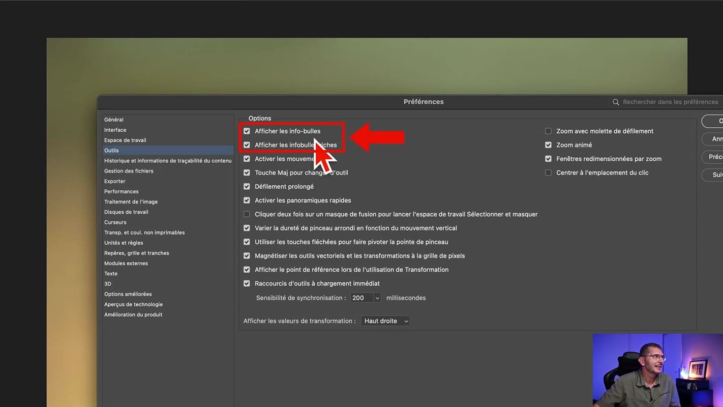 Options d'affichage des infobulles comme aide dans Photoshop.