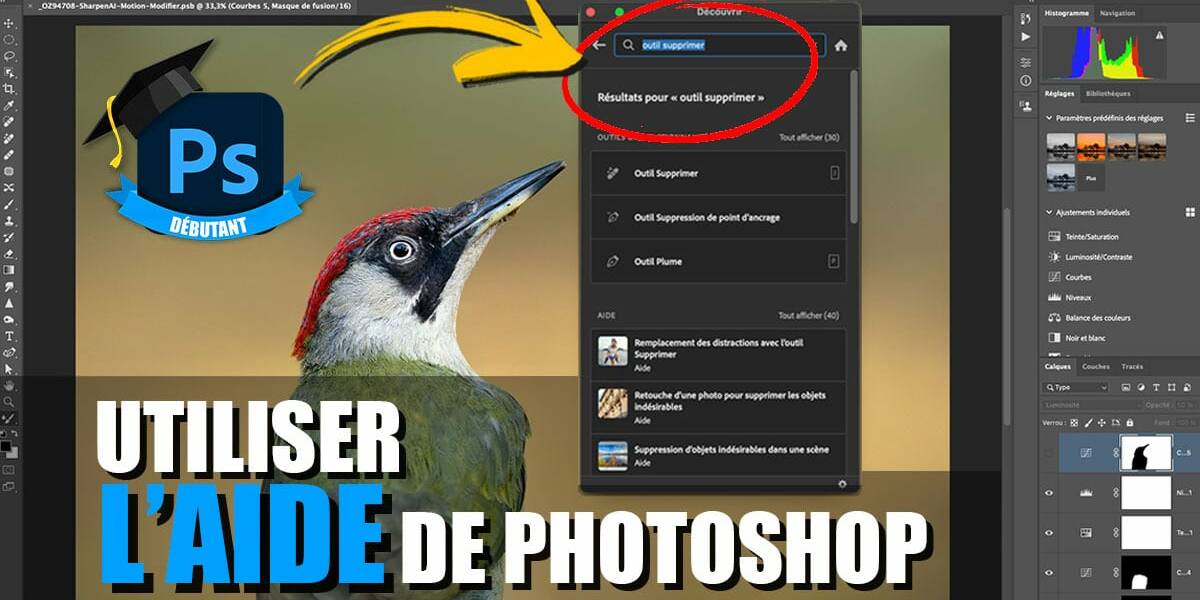 Couverture article L’aide de Photoshop pour localiser facilement un outil ou un filtre.
