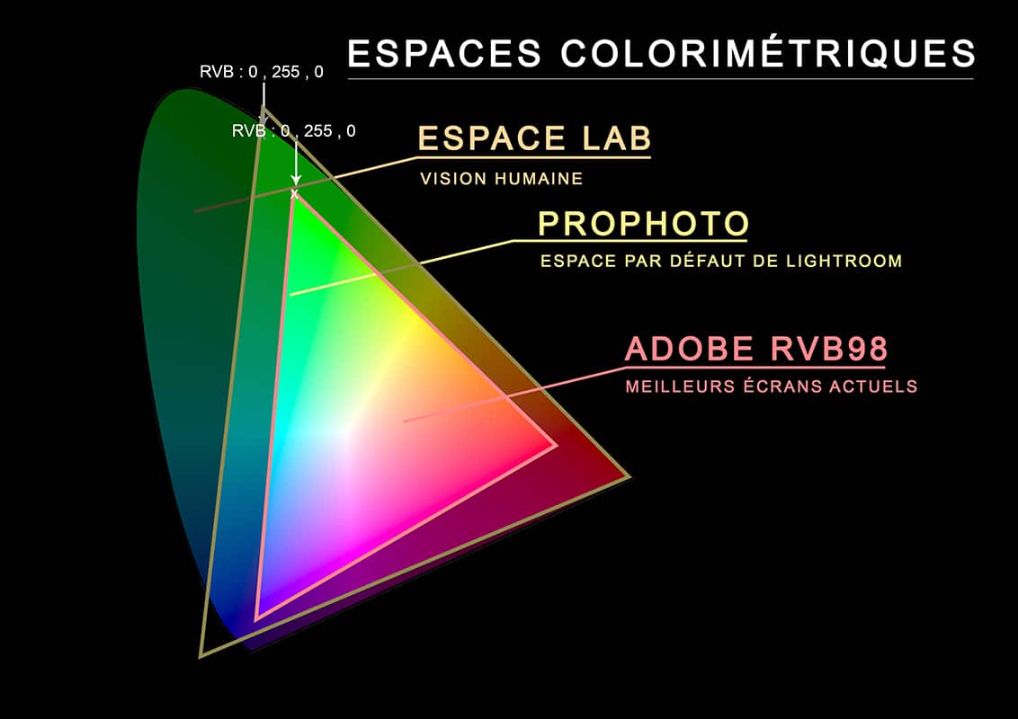 Représentation des couleurs contenues dans l'espace colorimétrique Adobe RVB98.