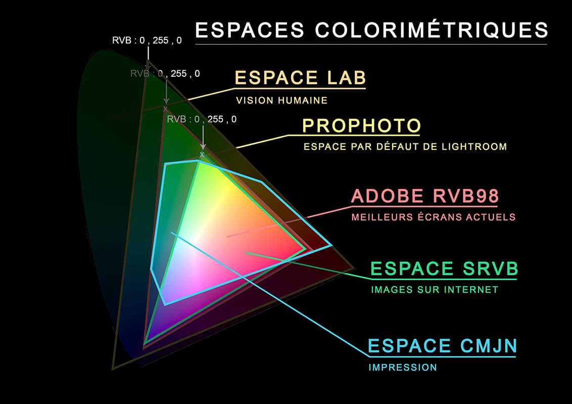 Représentation des couleurs contenues dans l'espace colorimétrique CMJN.