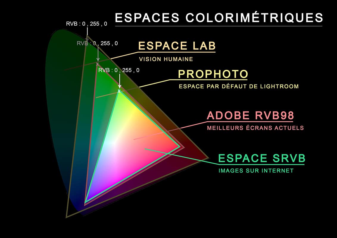 Représentation des couleurs contenues dans l'espace colorimétrique SRVB.