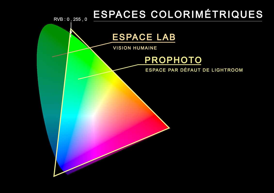 Représentation des couleurs contenues dans l'espace colorimétrique ProPhoto.