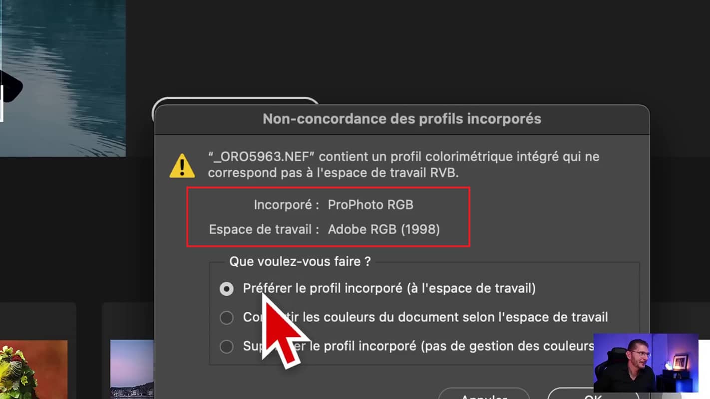 Profil incorporé de la photo et espace de travail utilisé dans Photoshop