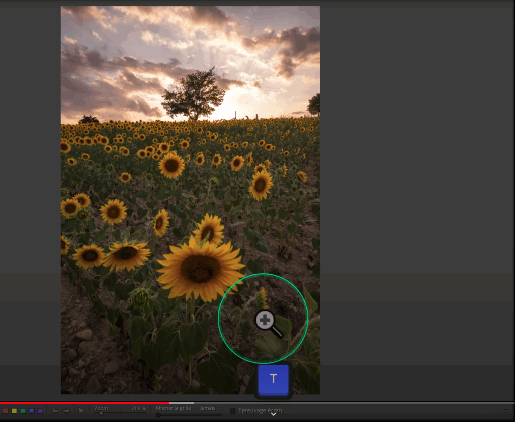 LIGHTROOM CLASSIC vs Camera Raw toutes les DIFFÉRENCES