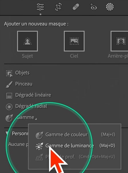 masque-gamme-luminance