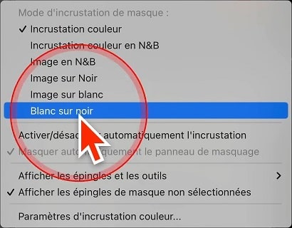 visualisation-blanc-noir