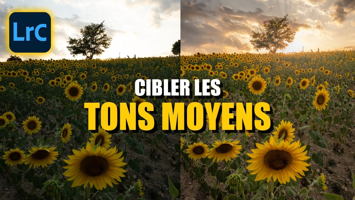 cibler-tons-moyens-lightroom